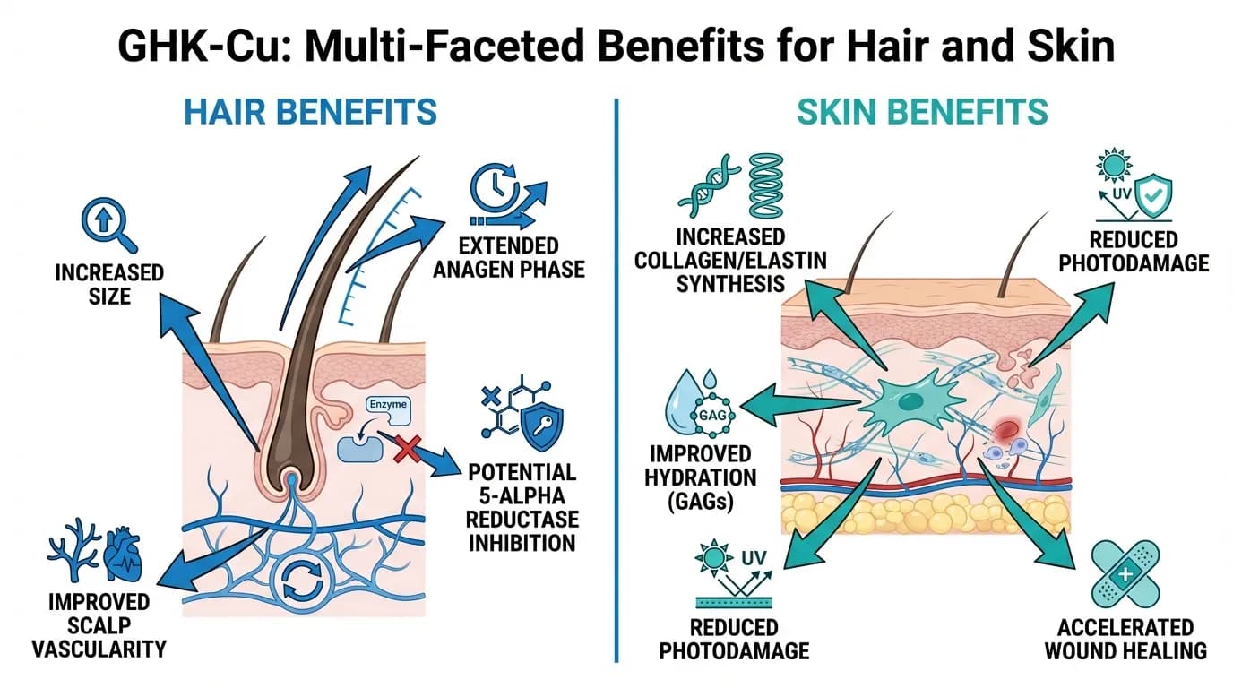 Data visualization for Best Peptides for Hair, Skin & Nails: Evidence-Based Guide (2026)