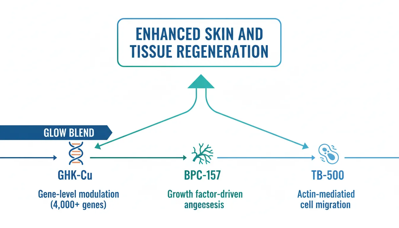 The Glow Blend: GHK-Cu, BPC-157, and TB-500 for Skin and Tissue Regeneration - Evidence-Based Guide | PPW