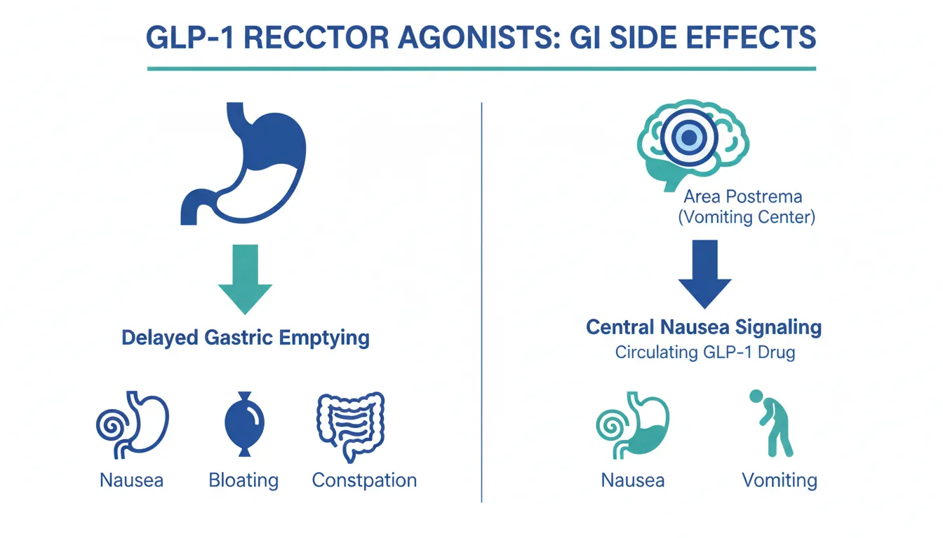 GLP-1 Side Effects Compared: Which Drug Is Best Tolerated? - Evidence-Based  Guide | PPW | Peptide Protocol Wiki