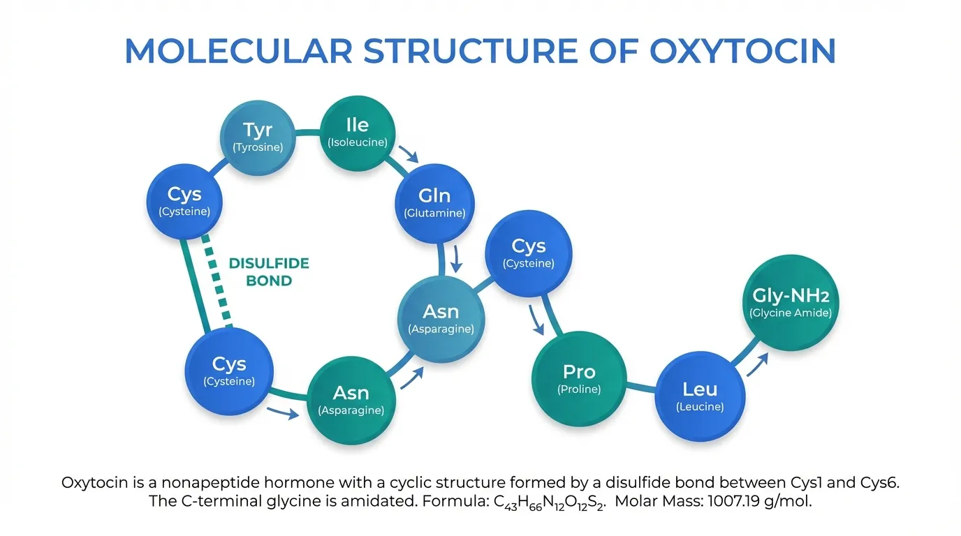 Oxytocin Molecular Structure And Properties Peptide Protocol Wiki Oxytocin Molecular Structure And Properties Peptide Protocol Wiki