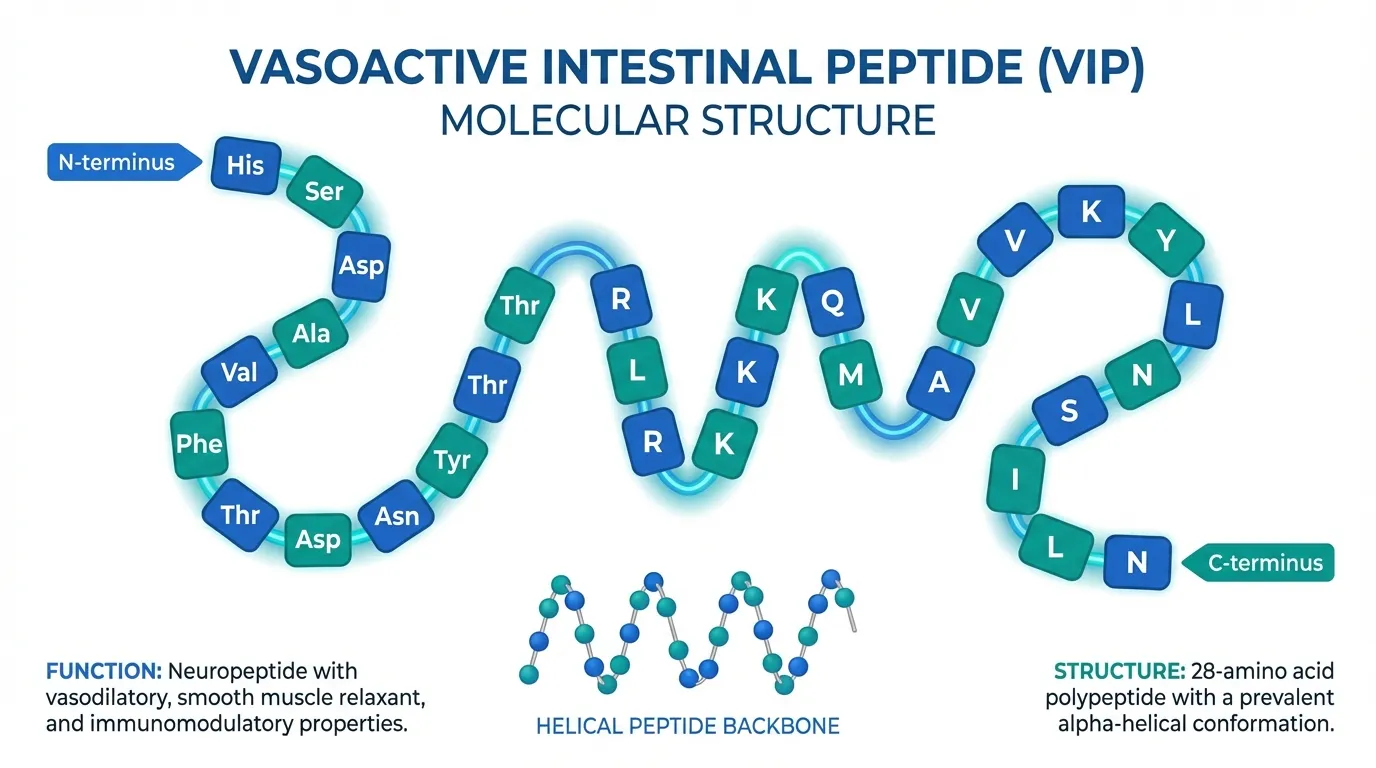 VIP Molecular Structure and Properties | Peptide Protocol Wiki
